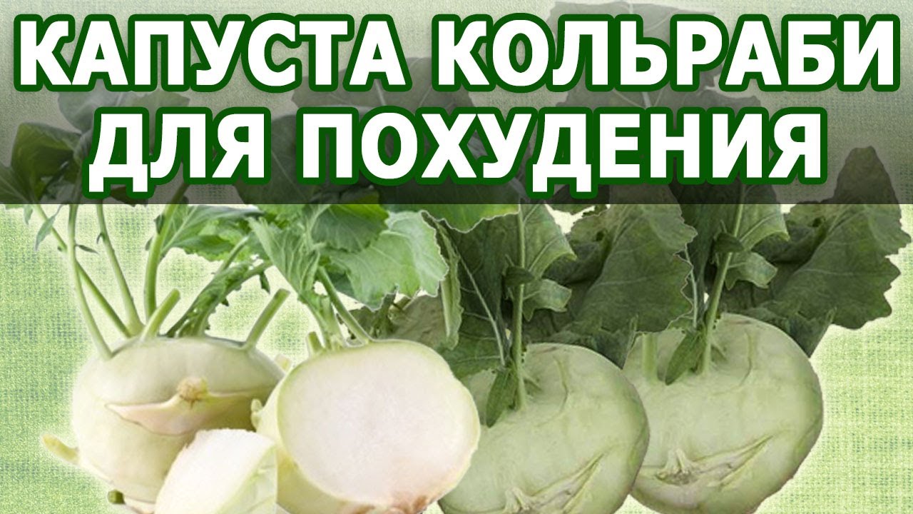 Полезные свойства кольраби